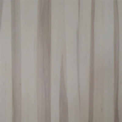 Poplar Ncaj-Koom Tes Glued Ntoo
